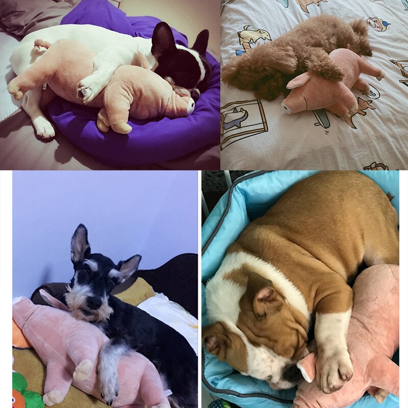 Soft Pig Dog Toy