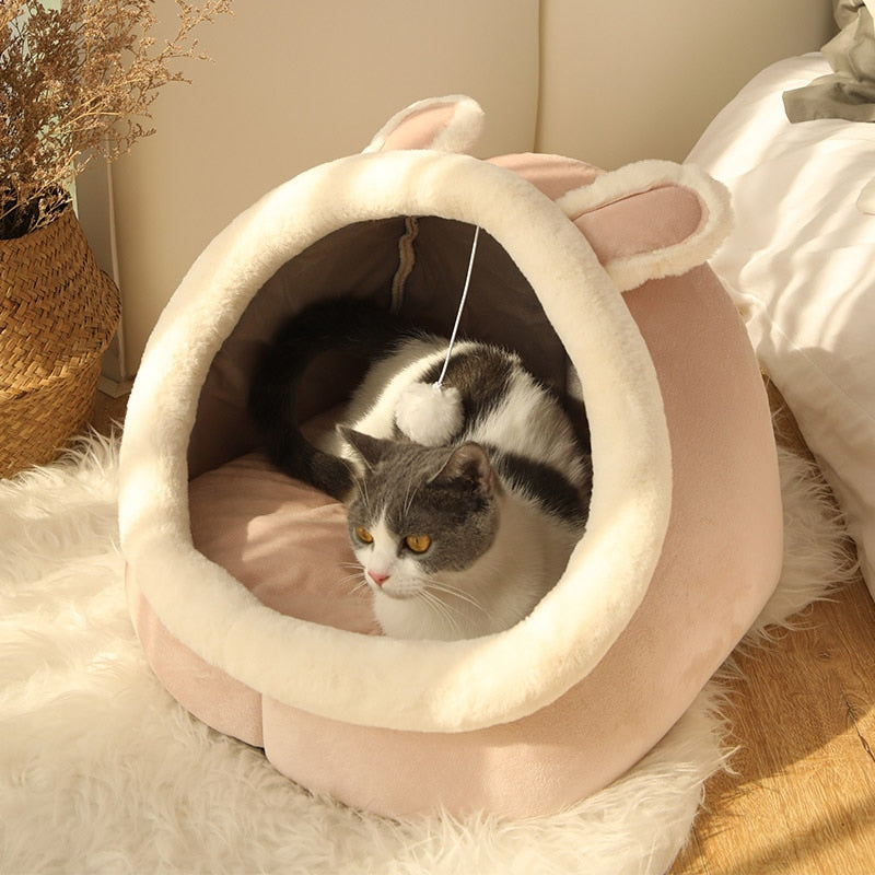 Cat Basket Bed