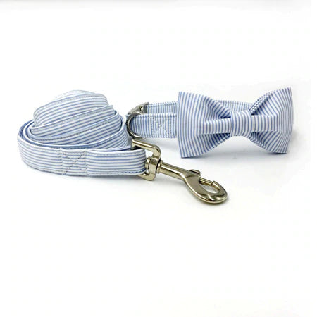 Blue Striped Dog  Collar Set with Bowtie and Leash