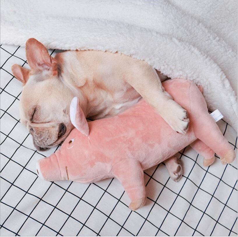 Soft Pig Dog Toy
