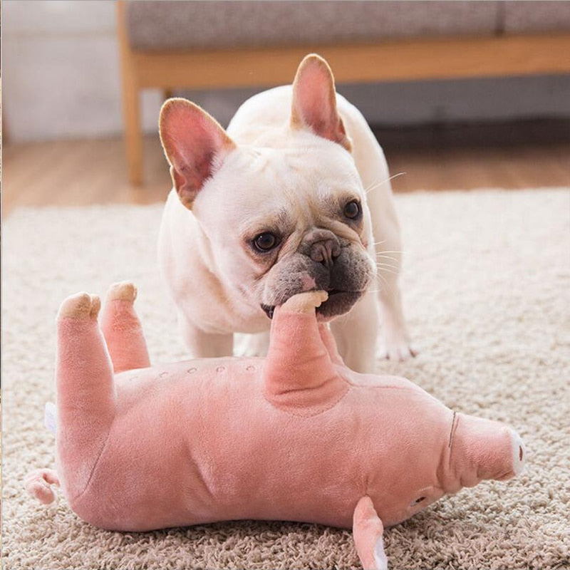 Soft Pig Dog Toy
