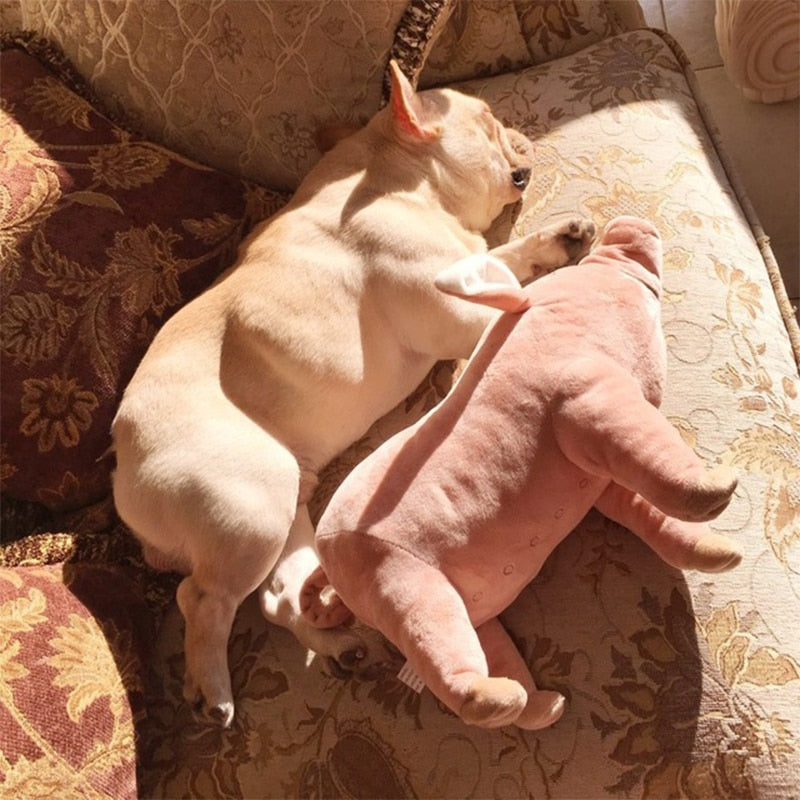 Soft Pig Dog Toy