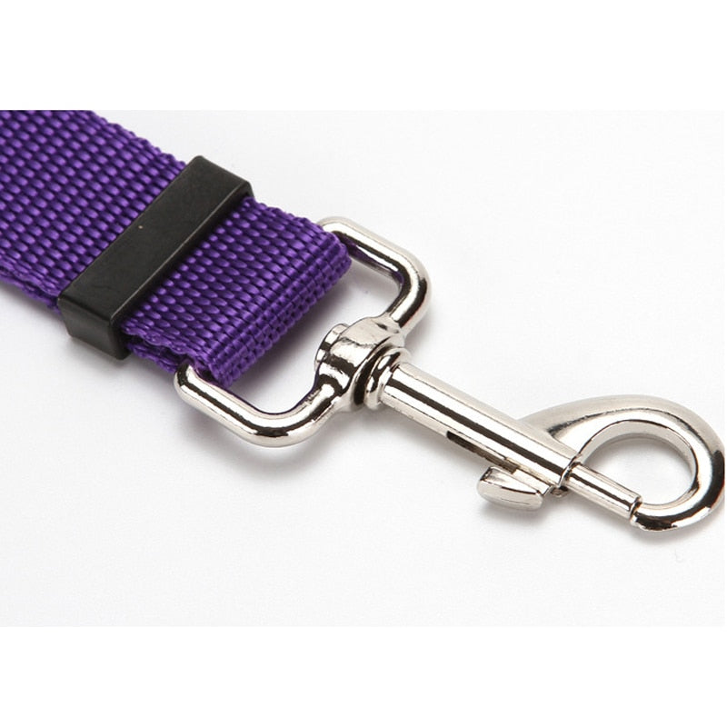Pet Seat Belt Leash