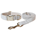 Dog's Elegant Bow Collar and Leash Set